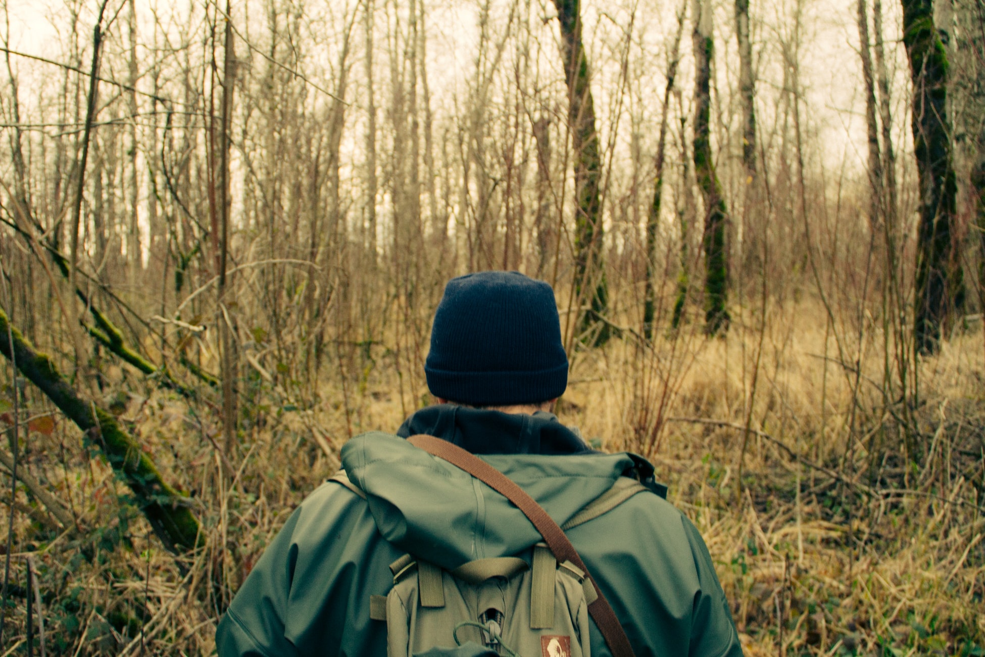 Jeu de survie dans la nature